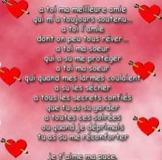 toi ma puce